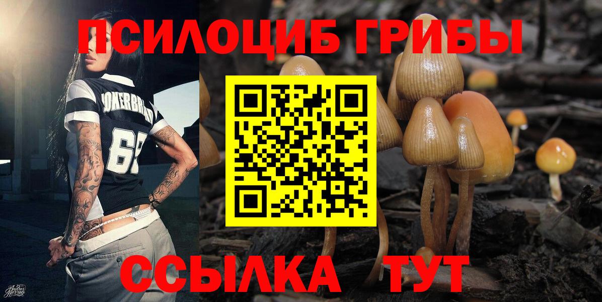 Галлюциногенные грибы Cubensis Аша