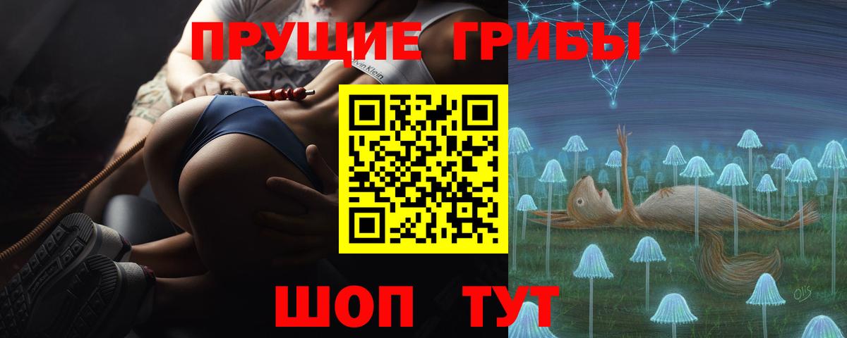 Псилоцибиновые грибы ЛСД  закладка  Аша  Вход с VPN 